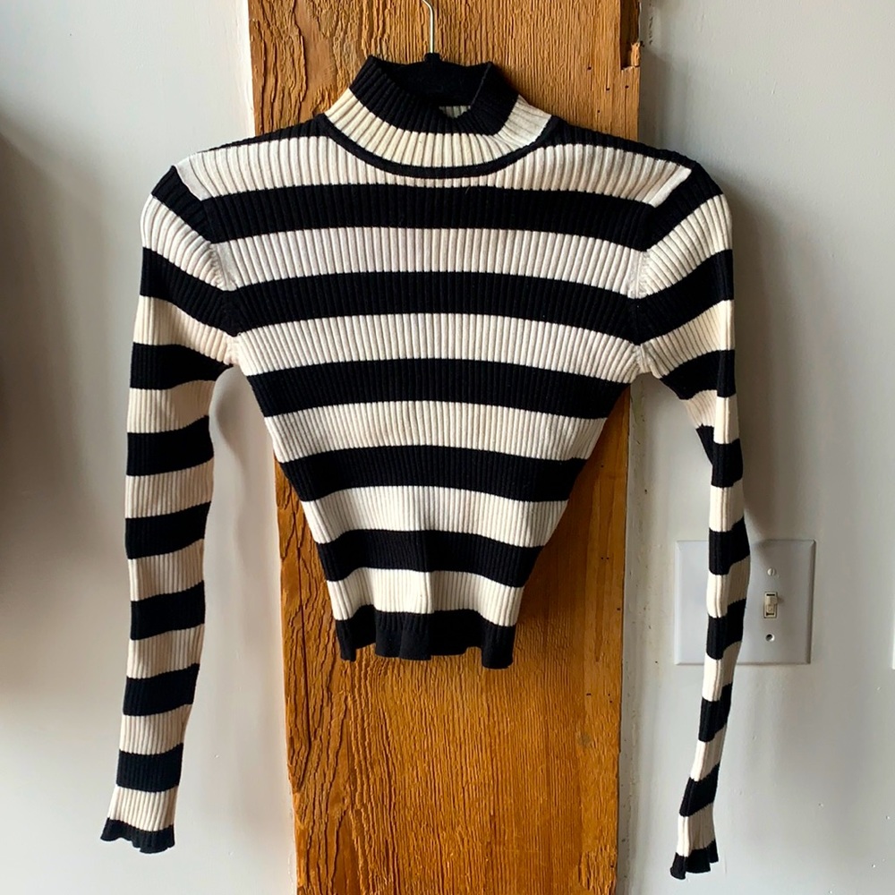 Urban outfitters stripe crop top turtle neck sweater